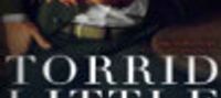 Torrid Little Affair (Forbidden Desires #3)